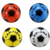 PALLONE PLASTICA CAMPIONE 120 GR