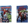 DY9726 BIGLIETTI AVENGERS