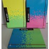 CARTELLETTE ELASTICO A4 FLUO