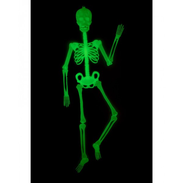 C9328 SCHELETTRO FLUORESCENTE CM. 150
