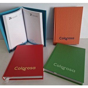 DIARIO SCUOLA 12 MESI 4 COLORI