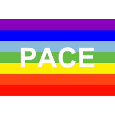 BANDIERA DELLA PACE 90X145