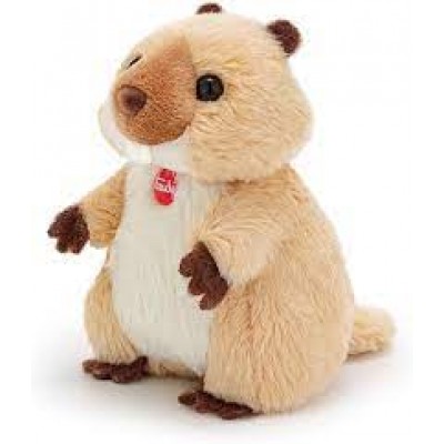 SWEET COLLECTION MARMOTTA