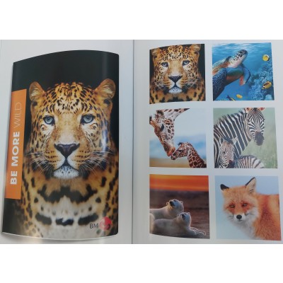 QUADERNI A4 GR.100 WILD - B