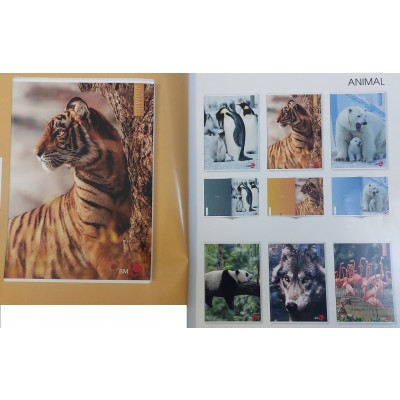 QUADERNI A4 GR. 80 ANIMAL - 10F