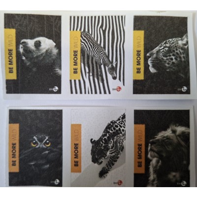 QUADERNI A4 GR.100 WILD - A