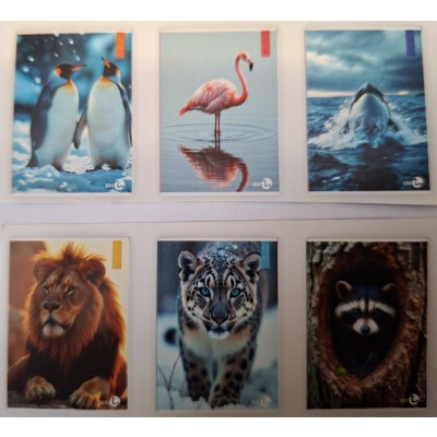 QUADERNI A4 GR. 80 ANIMAL - Q